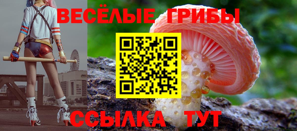 Псилоцибиновые грибы MAGIC MUSHROOMS  Псилоцибиновые грибы Psilocybine cubensis  Вход с VPN  Гусев 